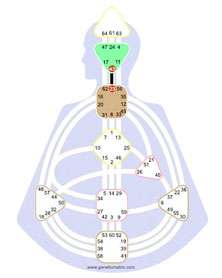Environment Authority - Mental Projector - Human Design